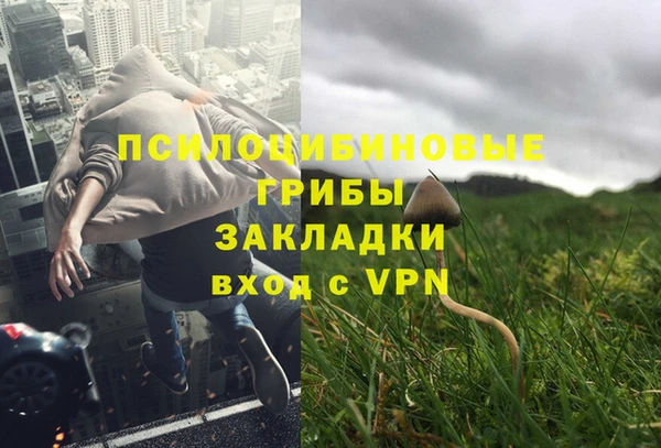 тгк Алзамай