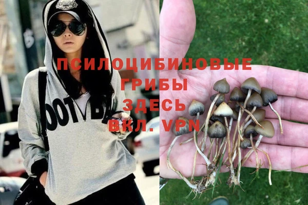 тгк Алзамай